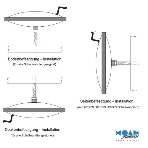 Clark Synthesis - AW439 Pro wetterfester Schallwandler