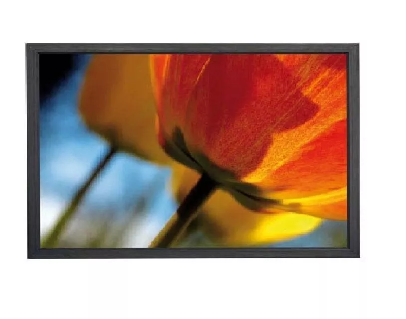WS Spalluto - WS-P-Homescreen 16:9